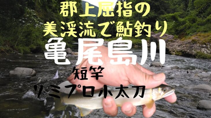 郡上屈指の美渓流！亀尾島川での鮎釣りです。竿はリミプロ小太刀が活躍しました。