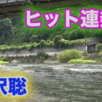 鮎釣り　ヒット連発！