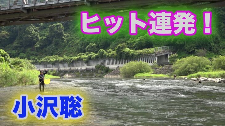 鮎釣り　ヒット連発！