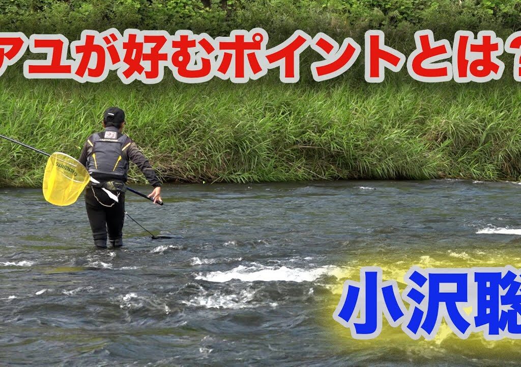 鮎釣り アユが好むポイントとは？