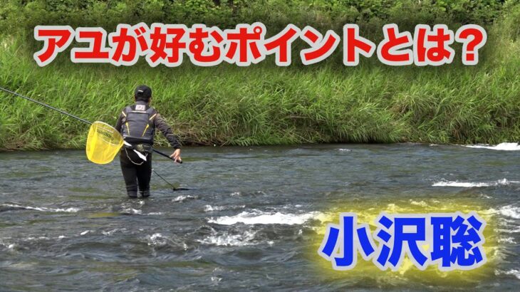 鮎釣り アユが好むポイントとは？