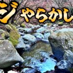 渓流釣りの日にどんでもない決断を下してしまう。
