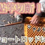 鮎竿改造計画！ショートロッドに