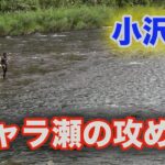 鮎釣り チャラ瀬の攻め方