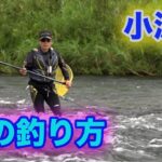 鮎釣り 瀬の釣り方