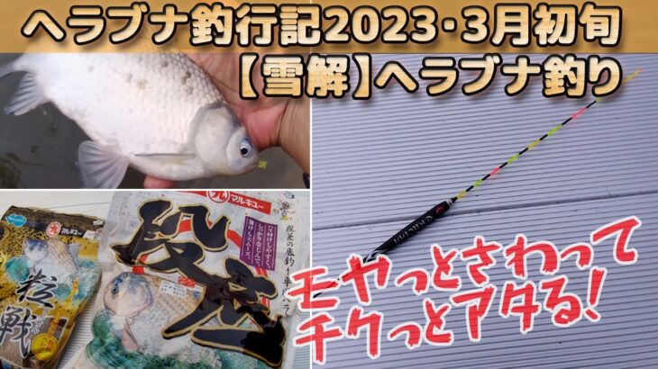 春は底を釣れ！水中はまだまだ厳寒期【10尺段底】マルキュー【力玉ハードⅡ】で段差の底釣り、2023年3月上旬（第1週）下条川ダムでのヘラブナ釣り