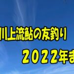 板取川上流　鮎の友釣りまとめ2022鮎