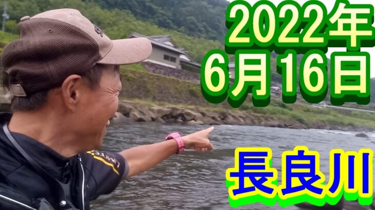 鮎釣り 渇水垢ぐされ  処理場 道満 長良川 2022年