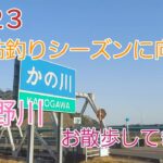 2023 狩野川　お散歩してきた❗　鮎釣りシーズンに向けて❗