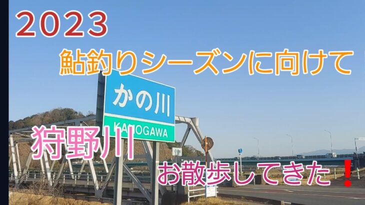 2023 狩野川　お散歩してきた❗　鮎釣りシーズンに向けて❗