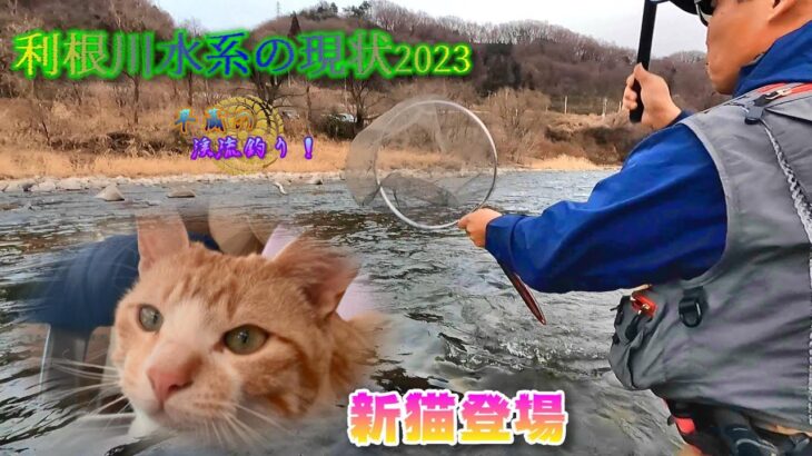 【皆様に感謝と利根の現状】渓流解禁2023！利根水系を視察する～渓流釣り準備　（天上糸を作る編）
