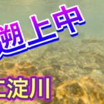 2023　３月５日　仁淀川　鮎遡上中です！