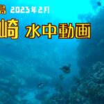 劔崎の水中（2023年2月）