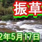 鮎釣り 5㎝高 桃源橋下 東栄役場前 本郷橋下 せきれい橋下 振草川 2022年