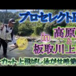 #65【NEWロッド実釣動画】プロセレクトRS85＆90★ノーカット取り込み映像も！