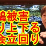 鮎釣り A-91 2023年3月2日 質問はこちらから https://youtu.be/xx2w3Jh5m4s