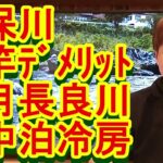 鮎釣り A-96 2023年3月9日 質問はこちらから https://youtu.be/xx2w3Jh5m4s