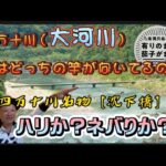 【鮎釣り】銀影競技メガトルクか？銀影AIRメガトルクか？