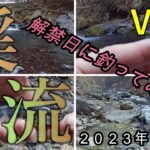 【Vlog】渓流解禁日に釣ってみた！　２０２３．３．１