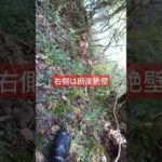 恐怖の細道の先には鮎釣りの穴場! #鮎釣り #shorts