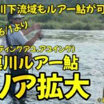 【相模川ルアー鮎エリア拡大】支流の中津川下流域も追加！（行政庁認可待ち）