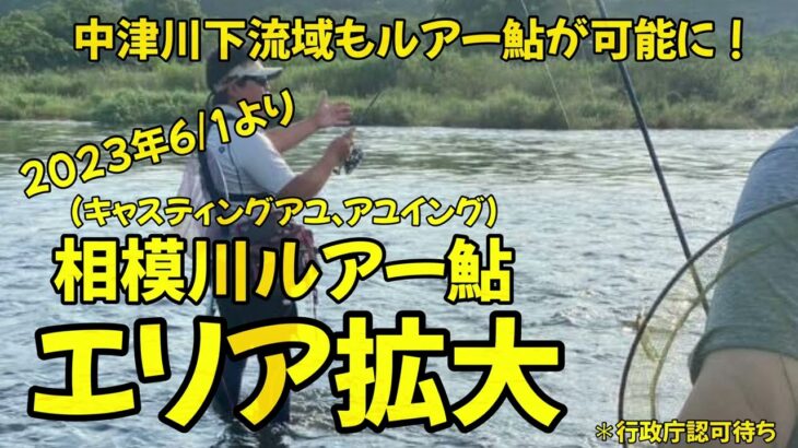 【相模川ルアー鮎エリア拡大】支流の中津川下流域も追加！（行政庁認可待ち）