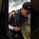 こんなに釣れる!鮎釣りサイコー! #鮎釣り