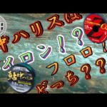 【鮎釣り】中ハリス。ナイロン派？フロロ派？