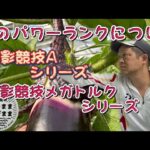 【鮎釣り】適応竿適応サイズ