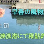 【稚鮎釣り】春の風物詩❗️早春の稚鮎狙いするも撃沈🙏来月リベンジします