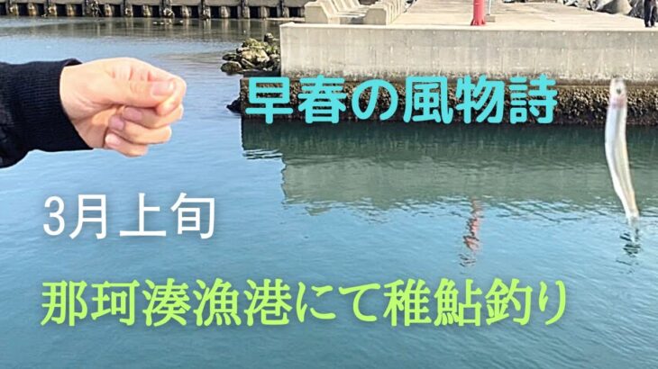 【稚鮎釣り】春の風物詩❗️早春の稚鮎狙いするも撃沈🙏来月リベンジします