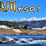 【渓流釣り】長良川本流がヤバすぎた！なので…