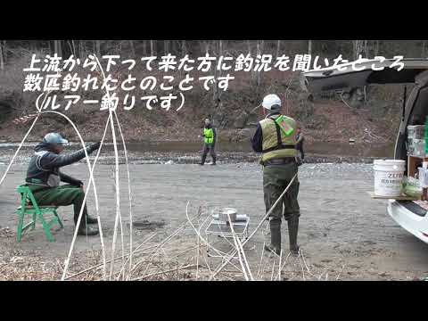 令和５年神流川上野村エリア　渓流釣り解禁日の様子