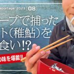 期間限定!!スロープで捕れたベイト（稚鮎）を踊り食い!?