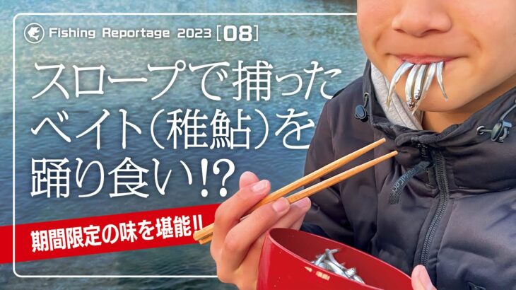 期間限定!!スロープで捕れたベイト（稚鮎）を踊り食い!?