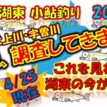 小鮎釣り2023、滋賀、湖東地区三川（芹川・犬上川・宇曽川）の小鮎釣りおよび遡上調査。これを見れば、湖東地区の今がわかる。滋賀に釣行に行く前に見る動画。
