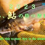 【シマノ】2023鮎　さあ鮎の待つ清流へ ・・Let’s visit to meet Ayu in the stream.