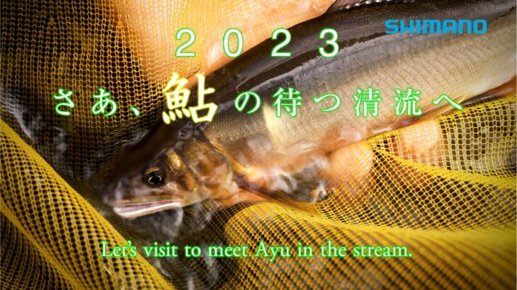 【シマノ】2023鮎　さあ鮎の待つ清流へ ・・Let’s visit to meet Ayu in the stream.