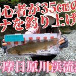 【渓流釣り】奥多摩日原川役場下#5