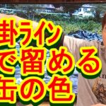 鮎釣り A-113 2023年4月2日 質問はこちらから https://youtu.be/xx2w3Jh5m4s