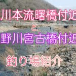 【山梨県桂川水系】釣り場紹介　桂川本流曙橋周辺&葛野川宮古橋周辺　マス釣り大会にて　#テンカラ　#渓流釣り　#桂川　