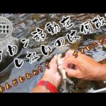 【鮎釣り】ハナカン上の部分気になりません？？