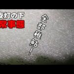 夜の常夜灯の光に集まる「無数の稚鮎」は根こそぎ釣れまくる説【夜の稚鮎釣り】