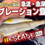 エスケードバイブ登場/キャスティングアユ ゲームに新たな展開を