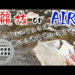 【鮎釣り】自分なりの答えです