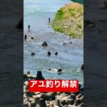鮎刷り解禁だよ！！