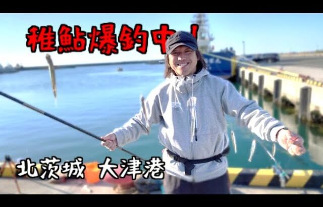 誰でも釣れる！大津港で稚鮎が爆釣中ですッ！！！