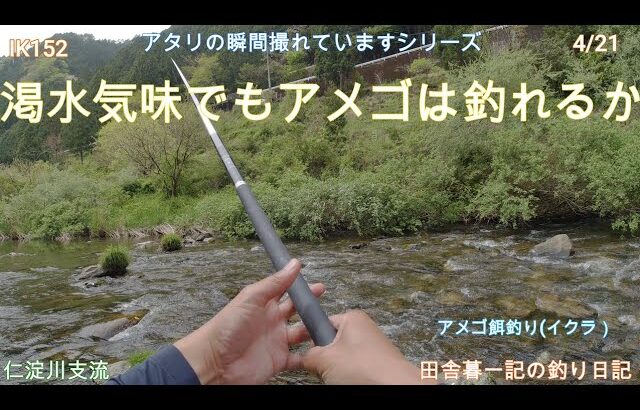渇水気味でもアメゴは釣れるか？/ 田舎暮一記の釣日記