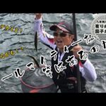 この竿初期から盛期に使えますか？