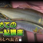【ルアー鮎】友釣り師のためのルアー鮎【擬鮎】